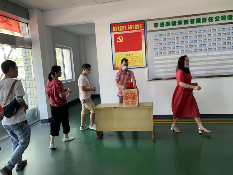 孝感麻糖米酒有限责任公司 圆满完成孝南区第七届人大代表选举工作