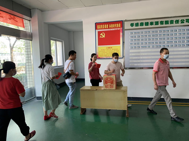 孝感麻糖米酒有限责任公司 圆满完成孝南区第七届人大代表选举工作